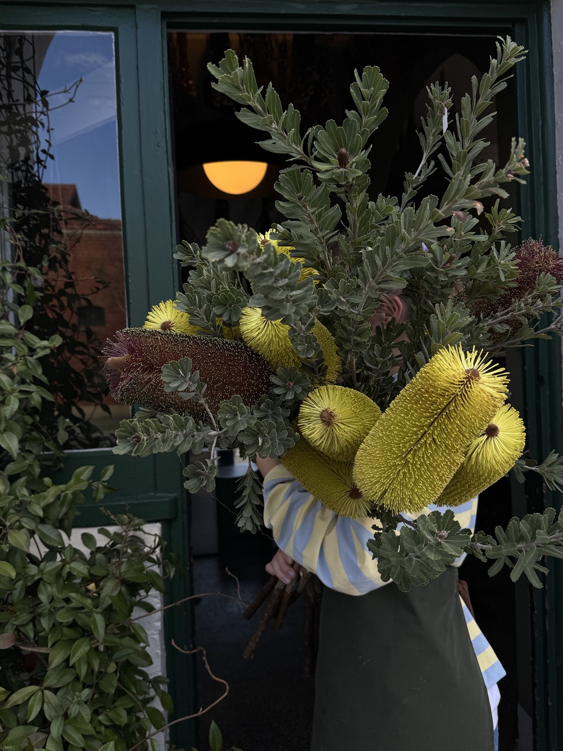 A native banksia arrangement at the entrance of CALI JARDÍN